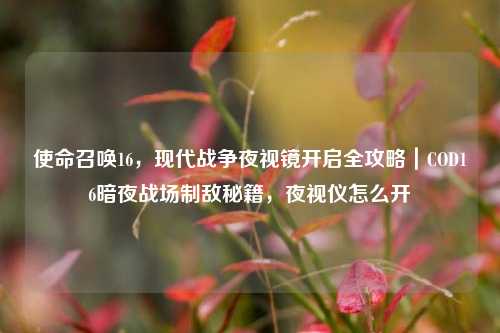 使命召唤16，现代战争夜视镜开启全攻略｜COD16暗夜战场制敌秘籍，夜视仪怎么开