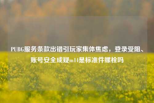 PUBG服务条款出错引玩家集体焦虑，登录受阻、账号安全成疑m14是标准件螺栓吗