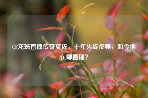 CF龙珠直播传奇夏佐，十年火线征程，如今他在哪直播？