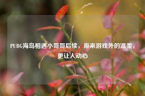 PUBG海岛相遇小哥哥后续,原来游戏外的温柔,更让人动心