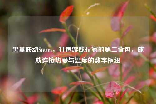 黑盒联动Steam，打造游戏玩家的第二背包，成就连接热爱与温度的数字枢纽