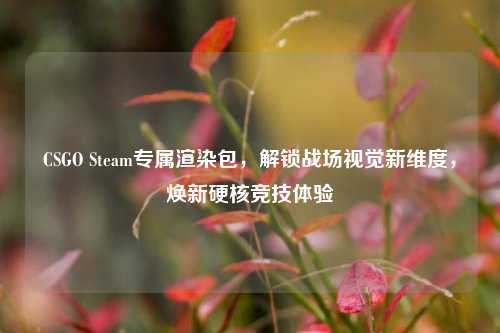CSGO Steam专属渲染包,解锁战场视觉新维度,焕新硬核竞技体验