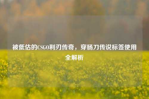 被低估的CSGO利刃传奇，穿肠刀传说标签使用全解析
