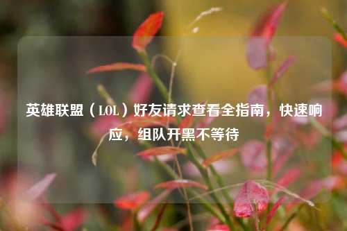 英雄联盟（LOL）好友请求查看全指南，快速响应，组队开黑不等待