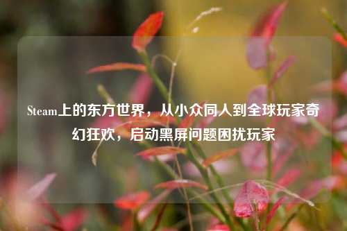 Steam上的东方世界，从小众同人到全球玩家奇幻狂欢，启动黑屏问题困扰玩家