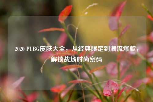 2020 PUBG皮肤大全,从经典限定到潮流爆款,解锁战场时尚密码