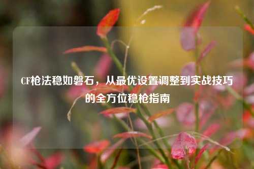 CF枪法稳如磐石,从最优设置调整到实战技巧的全方位稳枪指南