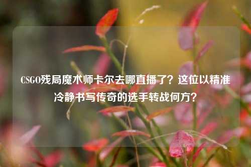 CSGO残局魔术师卡尔去哪直播了？这位以精准冷静书写传奇的选手转战何方？