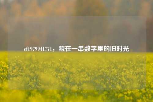 cf1979941771，藏在一串数字里的旧时光