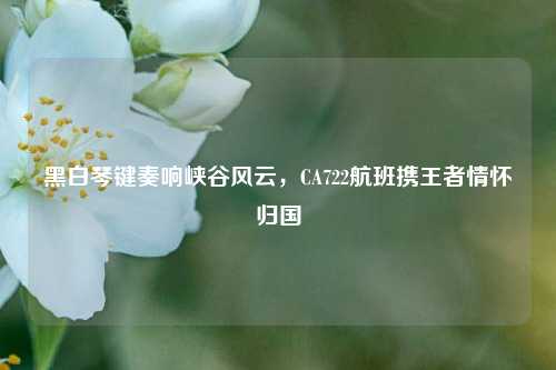 黑白琴键奏响峡谷风云,CA722航班携王者情怀归国
