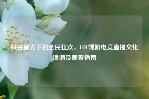 峡谷星光下的全民狂欢，LOL端游电竞直播文化浪潮及观看指南