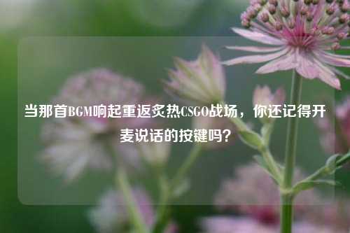 当那首BGM响起重返炙热CSGO战场,你还记得开麦说话的按键吗?