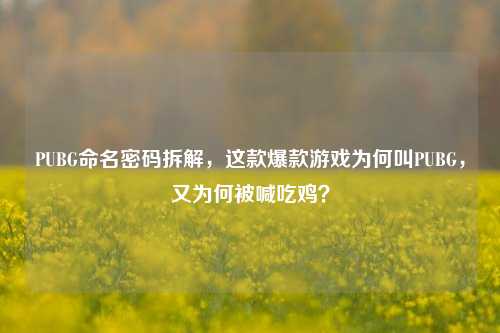 PUBG命名密码拆解，这款爆款游戏为何叫PUBG，又为何被喊吃鸡？