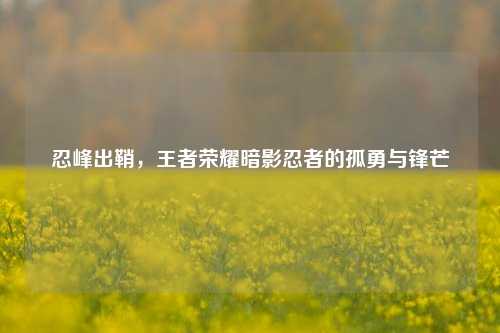 忍峰出鞘，王者荣耀暗影忍者的孤勇与锋芒