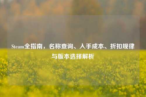 Steam全指南，名称查询、入手成本、折扣规律与版本选择解析