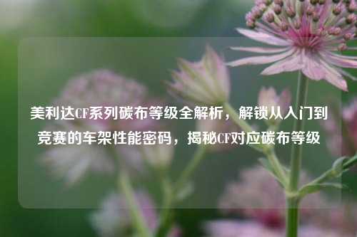 美利达CF系列碳布等级全解析，解锁从入门到竞赛的车架性能密码，揭秘CF对应碳布等级