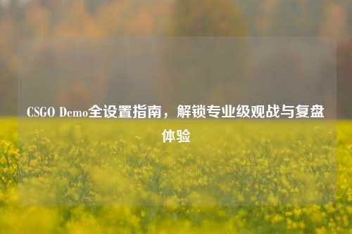 CSGO Demo全设置指南，解锁专业级观战与复盘体验