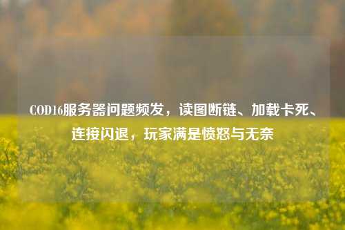 COD16服务器问题频发，读图断链、加载卡死、连接闪退，玩家满是愤怒与无奈