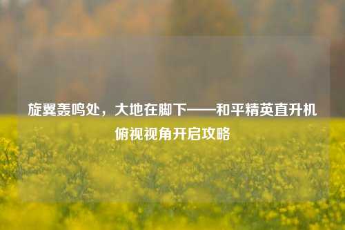 旋翼轰鸣处，大地在脚下——和平精英直升机俯视视角开启攻略