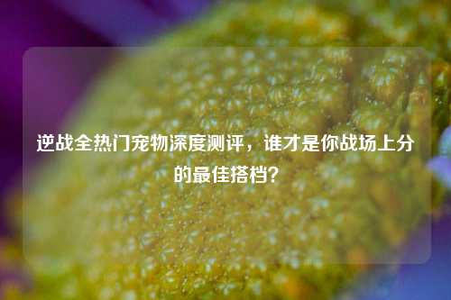 逆战全热门宠物深度测评，谁才是你战场上分的最佳搭档？