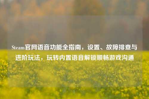 Steam官网语音功能全指南，设置、故障排查与进阶玩法，玩转内置语音解锁顺畅游戏沟通