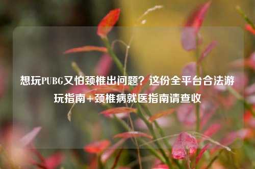 想玩PUBG又怕颈椎出问题?这份全平台合法游玩指南+颈椎病就医指南请查收