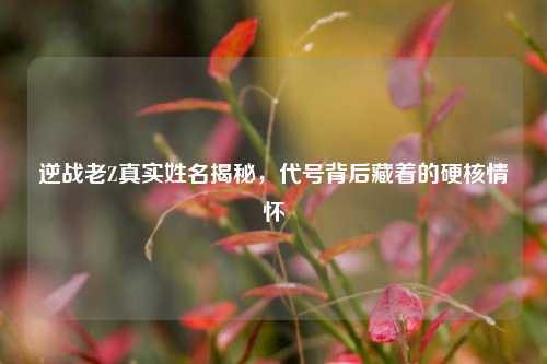 逆战老Z真实姓名揭秘，代号背后藏着的硬核情怀