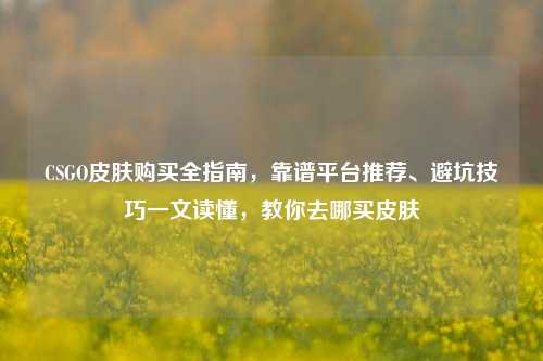 CSGO皮肤购买全指南，靠谱平台推荐、避坑技巧一文读懂，教你去哪买皮肤