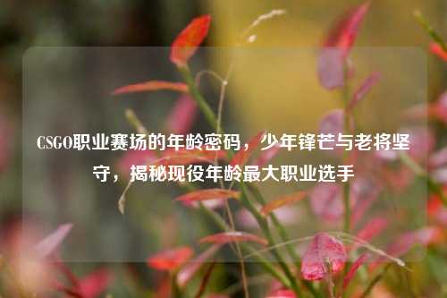 CSGO职业赛场的年龄密码,少年锋芒与老将坚守,揭秘现役年龄最大职业选手