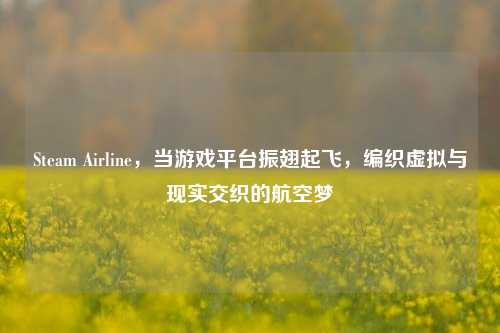 Steam Airline，当游戏平台振翅起飞，编织虚拟与现实交织的航空梦