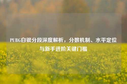 PUBG白银分段深度解析，分数机制、水平定位与新手进阶关键门槛
