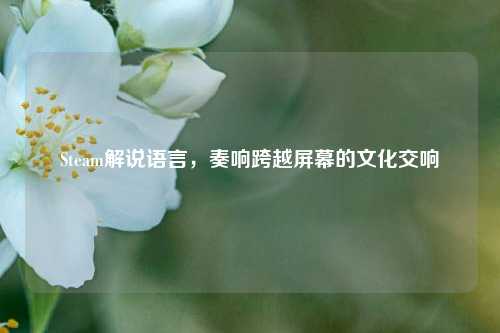 Steam解说语言,奏响跨越屏幕的文化交响