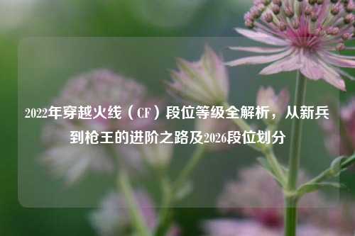 2022年穿越火线（CF）段位等级全解析，从新兵到枪王的进阶之路及2026段位划分