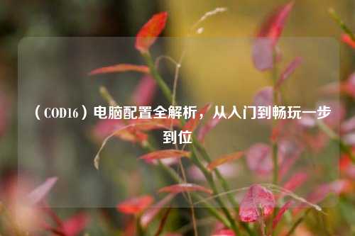 （COD16）电脑配置全解析，从入门到畅玩一步到位