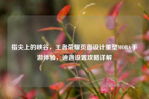 指尖上的峡谷，王者荣耀页面设计重塑MOBA手游体验，迪迦设置攻略详解