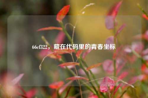 66cf322,藏在代码里的青春坐标