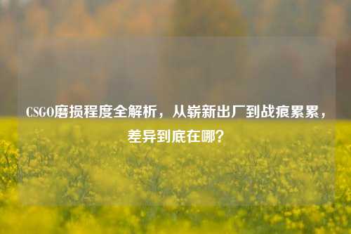 CSGO磨损程度全解析，从崭新出厂到战痕累累，差异到底在哪？