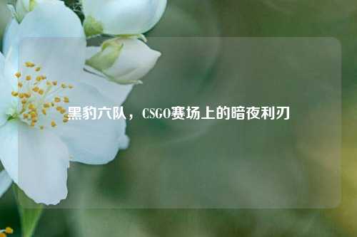 黑豹六队,CSGO赛场上的暗夜利刃