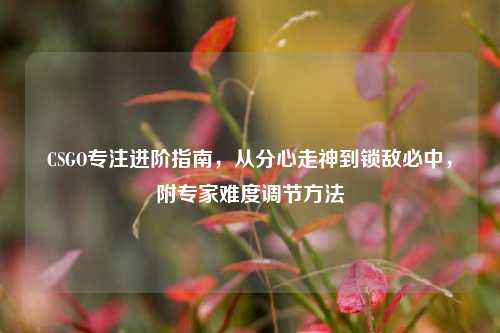 CSGO专注进阶指南，从分心走神到锁敌必中，附专家难度调节方法