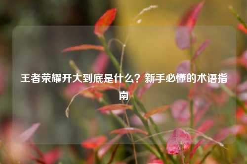 王者荣耀开大到底是什么？新手必懂的术语指南