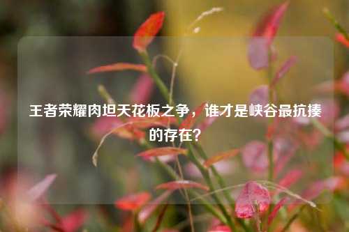 王者荣耀肉坦天花板之争，谁才是峡谷最抗揍的存在？