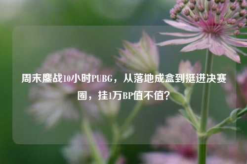 周末鏖战10小时PUBG，从落地成盒到挺进决赛圈，挂1万BP值不值？