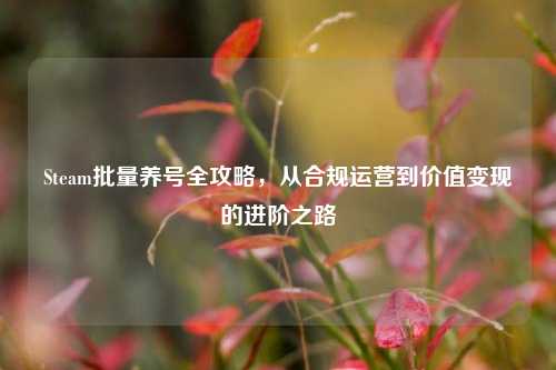 Steam批量养号全攻略，从合规运营到价值变现的进阶之路