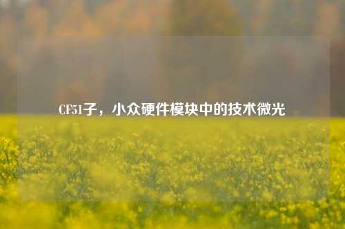 CF51子，小众硬件模块中的技术微光