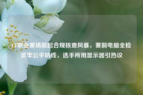 CF职业赛场掀起合规核查风暴，赛前电脑全检筑牢公平防线，选手所用显示器引热议