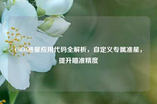CSGO准星应用代码全解析,自定义专属准星,提升瞄准精度