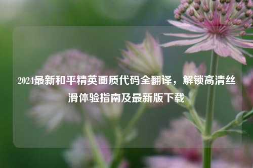 2024最新和平精英画质代码全翻译，解锁高清丝滑体验指南及最新版下载