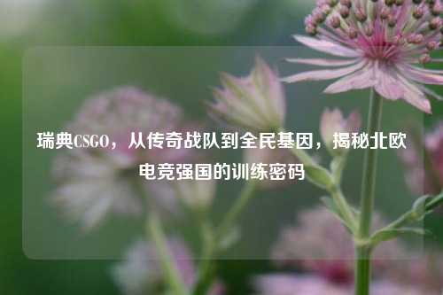 瑞典CSGO，从传奇战队到全民基因，揭秘北欧电竞强国的训练密码