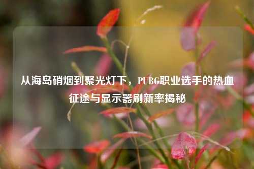 从海岛硝烟到聚光灯下，PUBG职业选手的热血征途与显示器刷新率揭秘