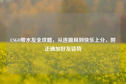 CSGO带水友全攻略，从连跪局到快乐上分，附正确加好友姿势